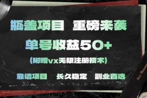 （11381期）一分钟一单，一单利润30+，适合小白操作