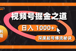 （10857期）红利无限！视频号掘金之道，深度解析起号爆流秘诀，轻松实现日入 1000+！