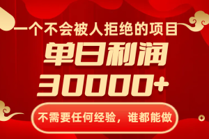 （8120期）一个不会被人拒绝的项目，不需要任何经验，谁都能做，单日利润30000+