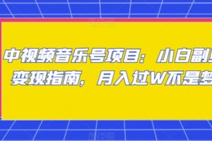 中视频音乐号项目：小白副业变现指南，月入过W不是梦【揭秘】