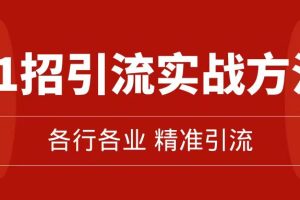 （7386期）精准引流术：11招引流实战方法，让你私域流量加到爆（11节课完整版）