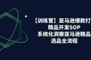 亚马逊爆款打造之精品开发SOP【训练营】，系统化洞察亚马逊精品选品全流程