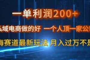 一单利润200私域电商做的好，一个人顶一家公司蓝海赛道最新玩法【揭秘】