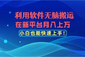 （11078期）利用软件无脑搬运，在新平台月入上万，小白也能快速上手