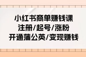 小红书商单赚钱课：注册/起号/涨粉/开通蒲公英/变现赚钱（25节课）