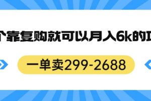 一单卖299-2688，一个靠复购就可以月入6k的暴利项目【揭秘】