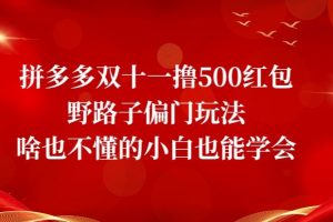 首发价值2980最新淘宝无货源不开车自然流超低成本截流玩法日入300+【揭秘】【1111更新】