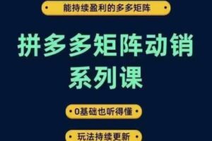 拼多多矩阵动销系列课，能持续盈利的多多矩阵，0基础也听得懂，玩法持续更新