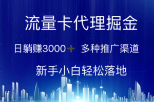 （10952期）流量卡代理掘金 日躺赚3000+ 多种推广渠道 新手小白轻松落地