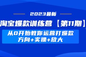 （4784期）淘宝爆款训练营【第11期】 从0开始教你运营打爆款，方向+实操+放大