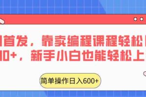 全网首发，靠卖编程课程轻松日入600+，新手小白也能轻松上手