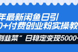 （8469期）24年最新闲鱼日引200+付费创业粉，割韭菜每天5000+收益实操教程！