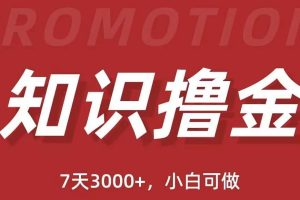 （5629期）抖音知识撸金项目：简单粗暴日入1000+执行力强当天见收益(教程+资料)