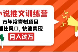 （4049期）小说推文训练营，万年常青树项目，抓住风口，快速变现月入过万