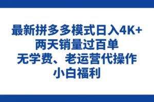 （11189期）拼多多最新模式日入4K+两天销量过百单，无学费、老运营代操作、小白福利