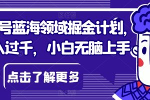 视频号蓝海领域掘金计划，日入过千，小白无脑上手【揭秘】