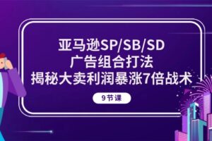 （10687期）亚马逊SP/SB/SD广告组合打法，揭秘大卖利润暴涨7倍战术 (9节课)