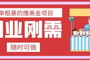 （7710期）最简单粗暴的撸美金项目 会打字就能轻松赚美金