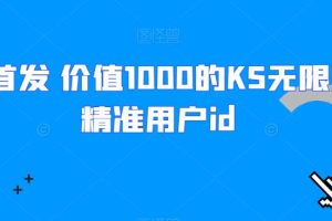 全网首发 价值1000的KS无限采集精准用户id