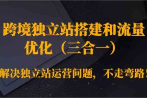 跨境独立站搭建和流量优化（三合一）解决独立站运营问题，不走弯路！