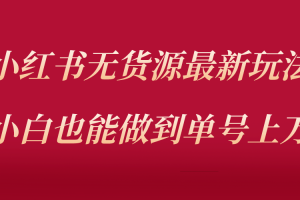 （5646期）小红书无货源最新螺旋起号玩法，电商小白也能做到单号上万（收费3980）