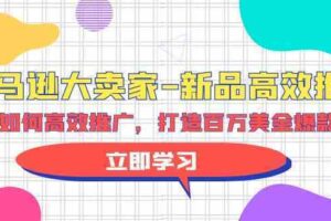 亚马逊大卖家新品高效推广，分享如何高效推广，打造百万美金爆款单品