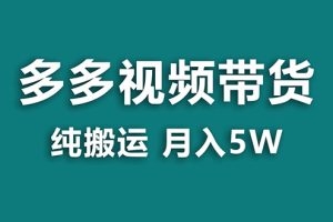 （7760期）【蓝海项目】多多视频带货，靠纯搬运一个月搞5w，新手小白也能操作【揭秘】