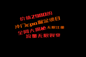 价值2980的CPA掘金项目大揭秘，号称当天收益200+，不见收益包赔双倍