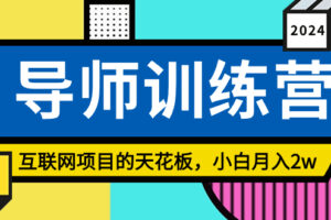 （8618期）《导师训练营》互联网项目的天花板，小白月入2w