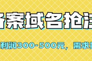 【全网首发】备案域名抢注，一单利润300-500元，需求量大