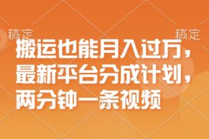 （11874期）搬运也能月入过万，最新平台分成计划，一万播放一百米，一分钟一个作品