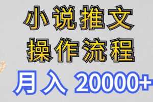 小说推文项目新玩法操作全流程，月入20000+，门槛低非常适合新手