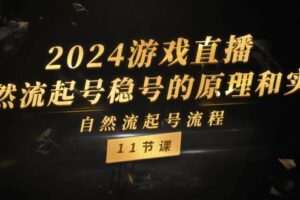 （11653期）2024游戏直播-自然流起号稳号的原理和实战，自然流起号流程（11节）