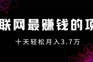 （12396期）互联网最赚钱的项目没有之一，轻松月入7万+，团队最新项目