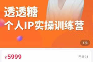 透透糖2023个人IP实操训练营，基础准备+短视频实操+高手进阶+变现落地+数据+电商