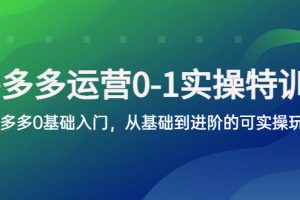 （5747期）拼多多-运营0-1实操训练营，拼多多0基础入门，从基础到进阶的可实操玩法