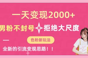 （7166期）一天收款2000元，男粉不封号拒绝大尺度-色粉全新的变现方法