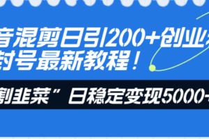 （8349期）抖音混剪日引200+创业粉不封号最新教程！“割韭菜”日稳定变现5000+！