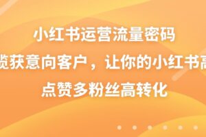 （8764期）小红书运营流量密码，揽获意向客户，让你的小红书高点赞多粉丝高转化