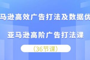 （10649期）亚马逊高效广告打法及数据优化，亚马逊高阶广告打法课