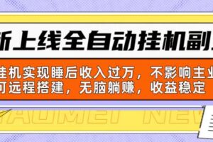 （10588期）新上线全自动挂机副业：靠挂机实现睡后收入过万，不影响主业可远程搭建…