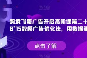 跨境飞哥广告开启高阶课第二十四期，​8*15数模广告优化法，用数据驱动决策