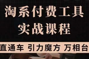 （3460期）淘系付费工具实战课程【直通车、引力魔方】战略优化，实操演练