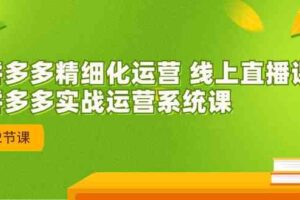 拼多多精细化运营 线上直播课：拼多多实战运营系统课（更新47节）