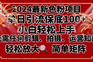 （8783期）2024最新换脸项目，小白轻松上手，单号单月变现3W＋，可批量矩阵操作放大