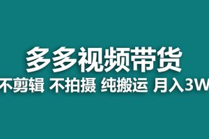 （7512期）【蓝海项目】多多视频带货，纯搬运一个月搞了5w佣金，小白也能操作【揭秘】