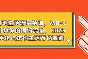 （6183期）本地生活流量特训，从0-1引爆你的同城流量，2023年抢占本地生活万亿赛道