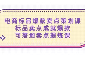 （5337期）电商标品爆款卖点策划课，标品卖点成就爆款，可落地卖点提炼课