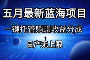 （10469期）五月刚出最新蓝海项目一键托管 躺赚收益分成 日产无上限