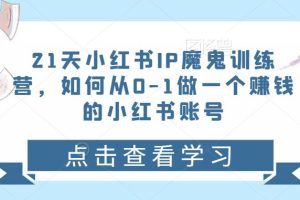 21天‮红小‬书IP‮鬼魔‬训练营，如何从0-1做一个赚钱的小红书账号